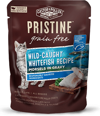 Castor & Pollux Pristine Grain Free Wild-Caught Whitefish Recipe Morsels In Gravy